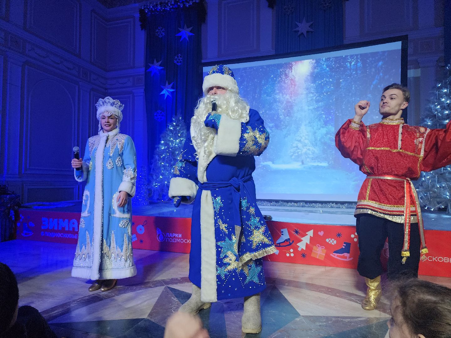 серпухов, подмосковье, дед мороз, зима в подмосковье, почта деда мороза, вертикалки,