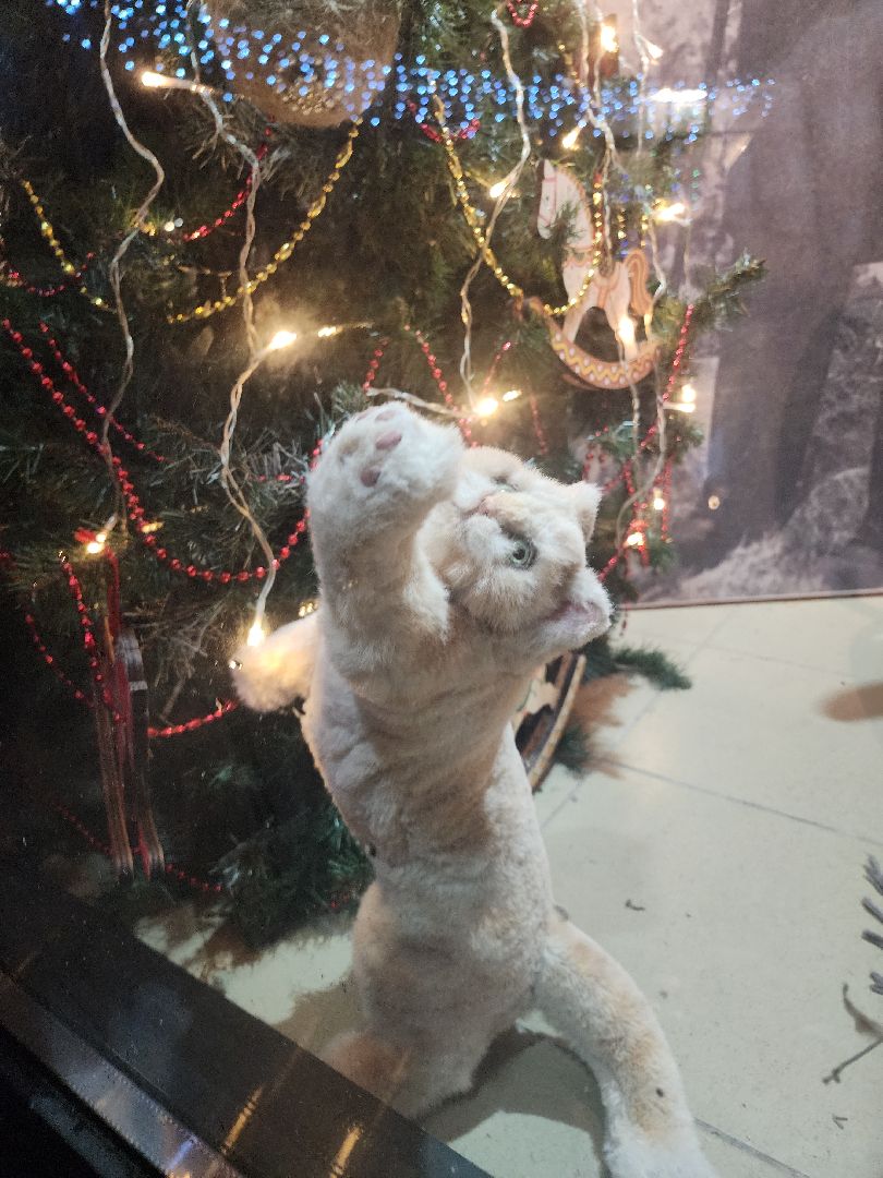 серпухов, подмосковье, парки серпухова, парки подмосковья, выставка-витрина, культура, вертикалки,