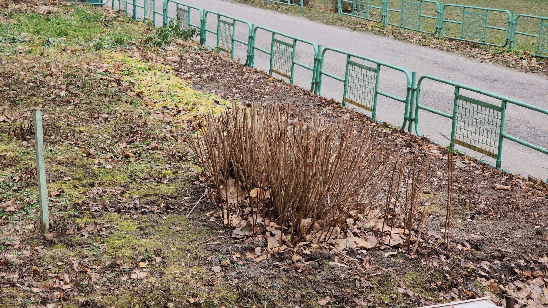 кашира, выездная администрация, контейнерная площадка, вывоз мусора,