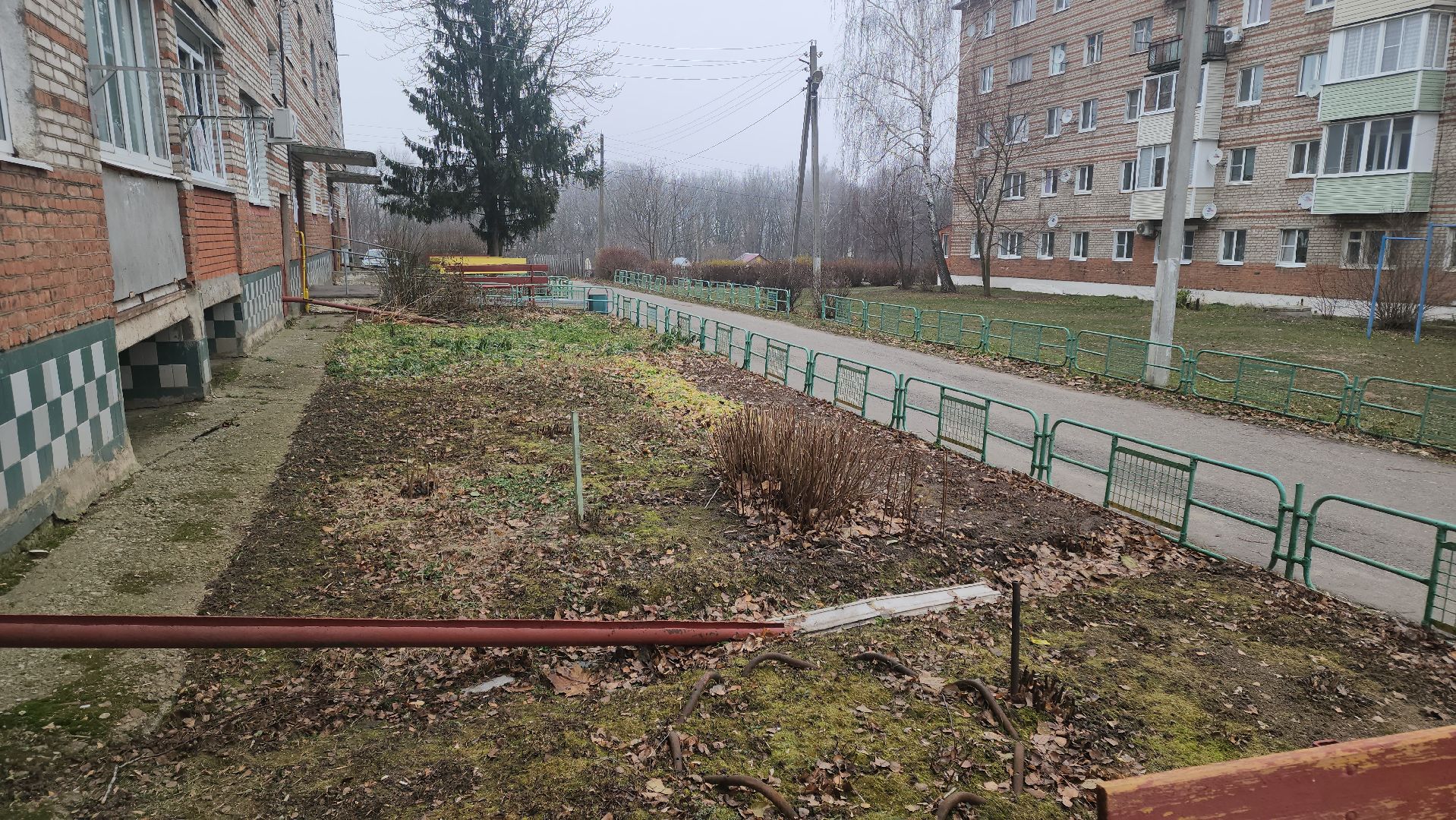 кашира, выездная администрация, контейнерная площадка, вывоз мусора,