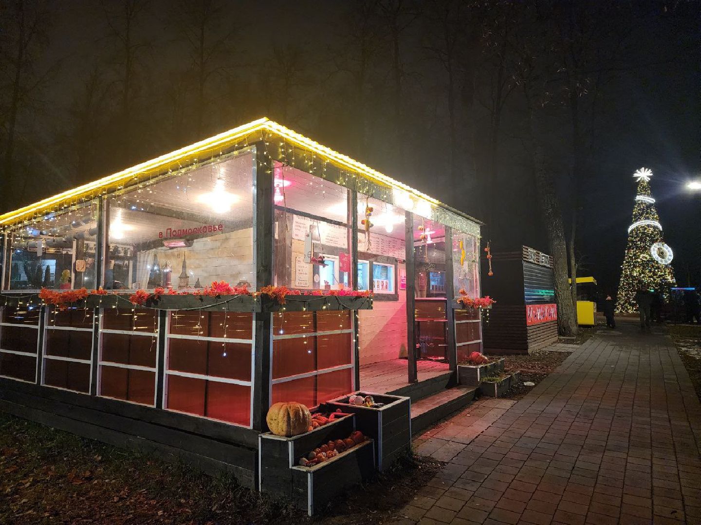 серпухов, подмосковье, парки серпухова, самоварная станция, парки подмосковья,