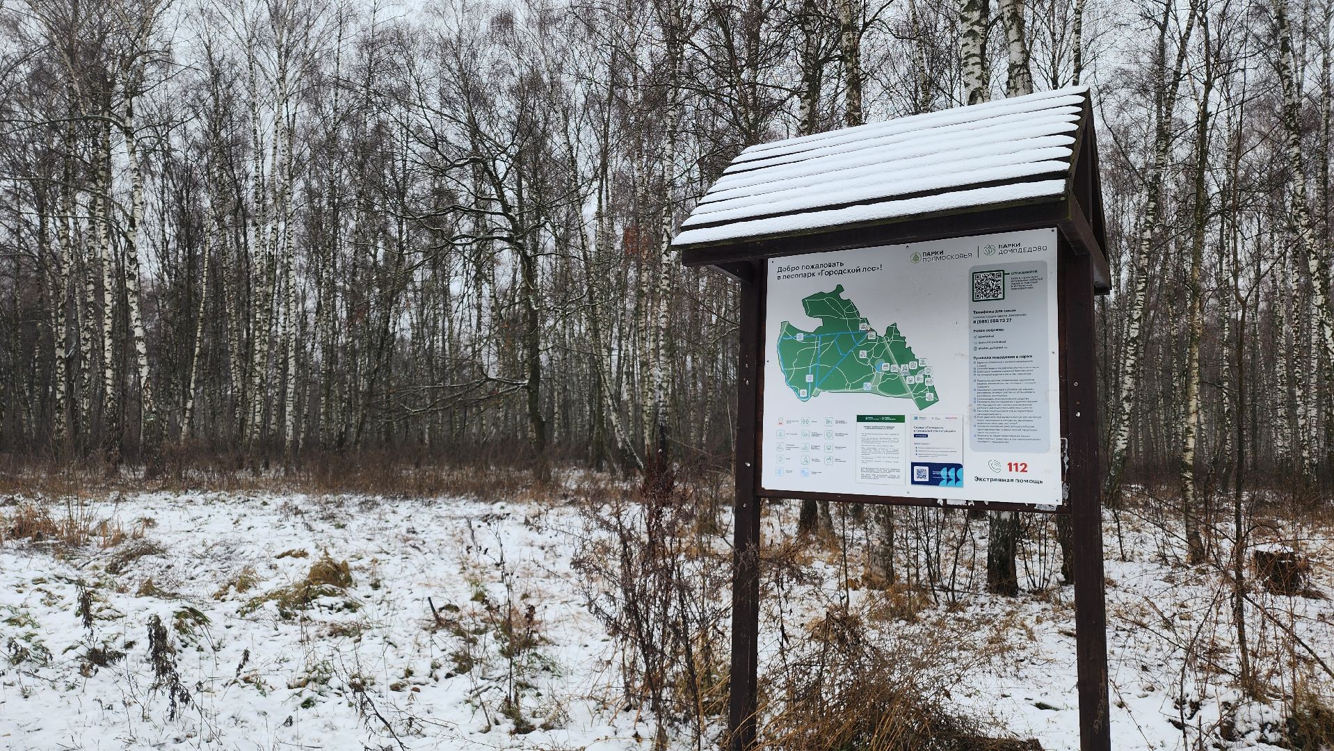 Парковка, укладка асфальта, Домодедово, Подмосковье, Лесопарк, Городской лес, Лыжня, вертикалки,