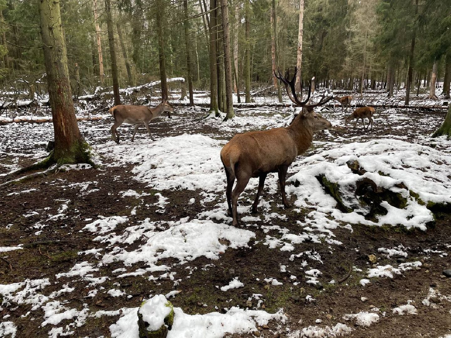 талдом, арт-усадьба веретьево, туризм, вертикалки,