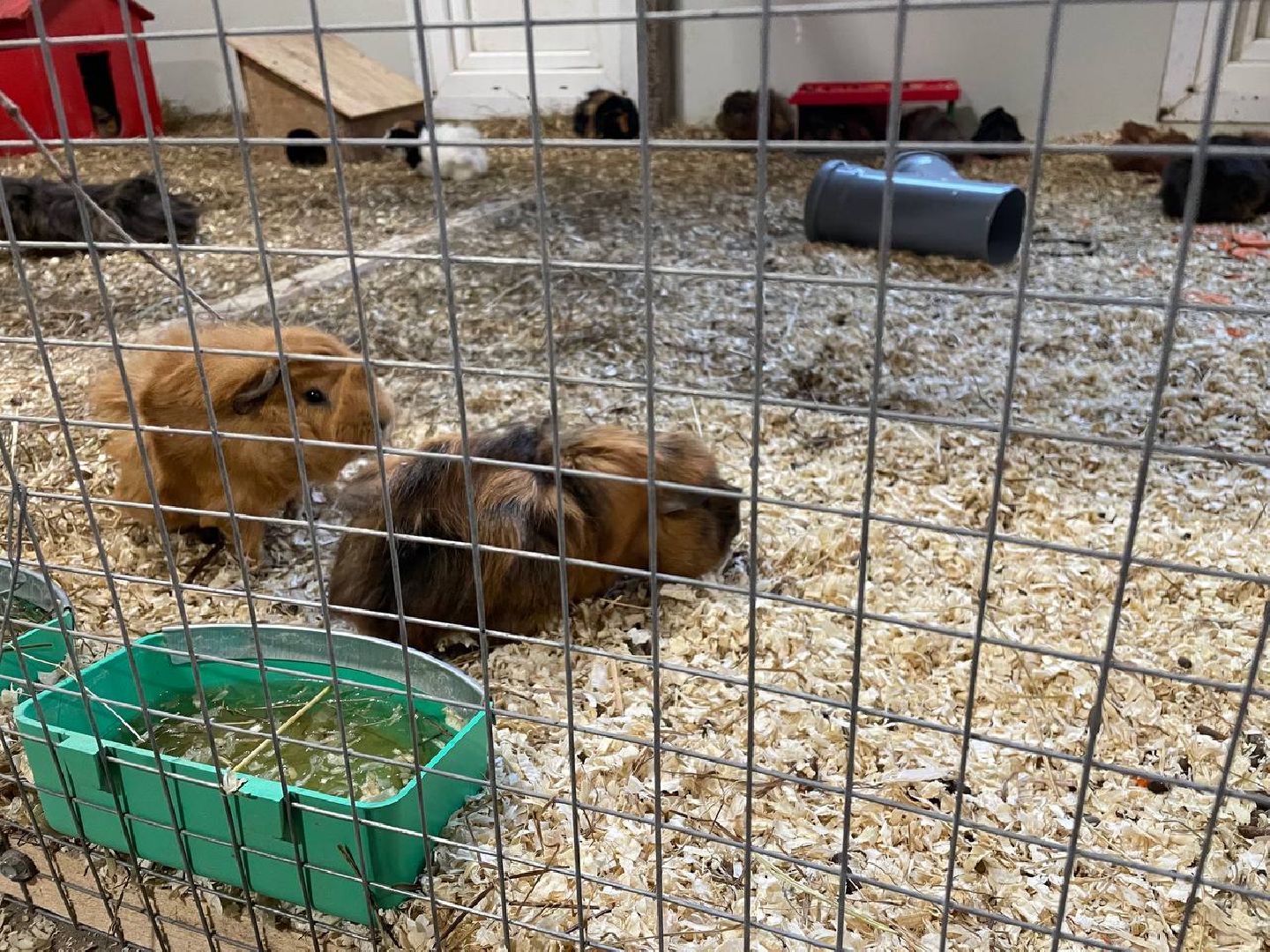 талдом, арт-усадьба веретьево, туризм, вертикалки,