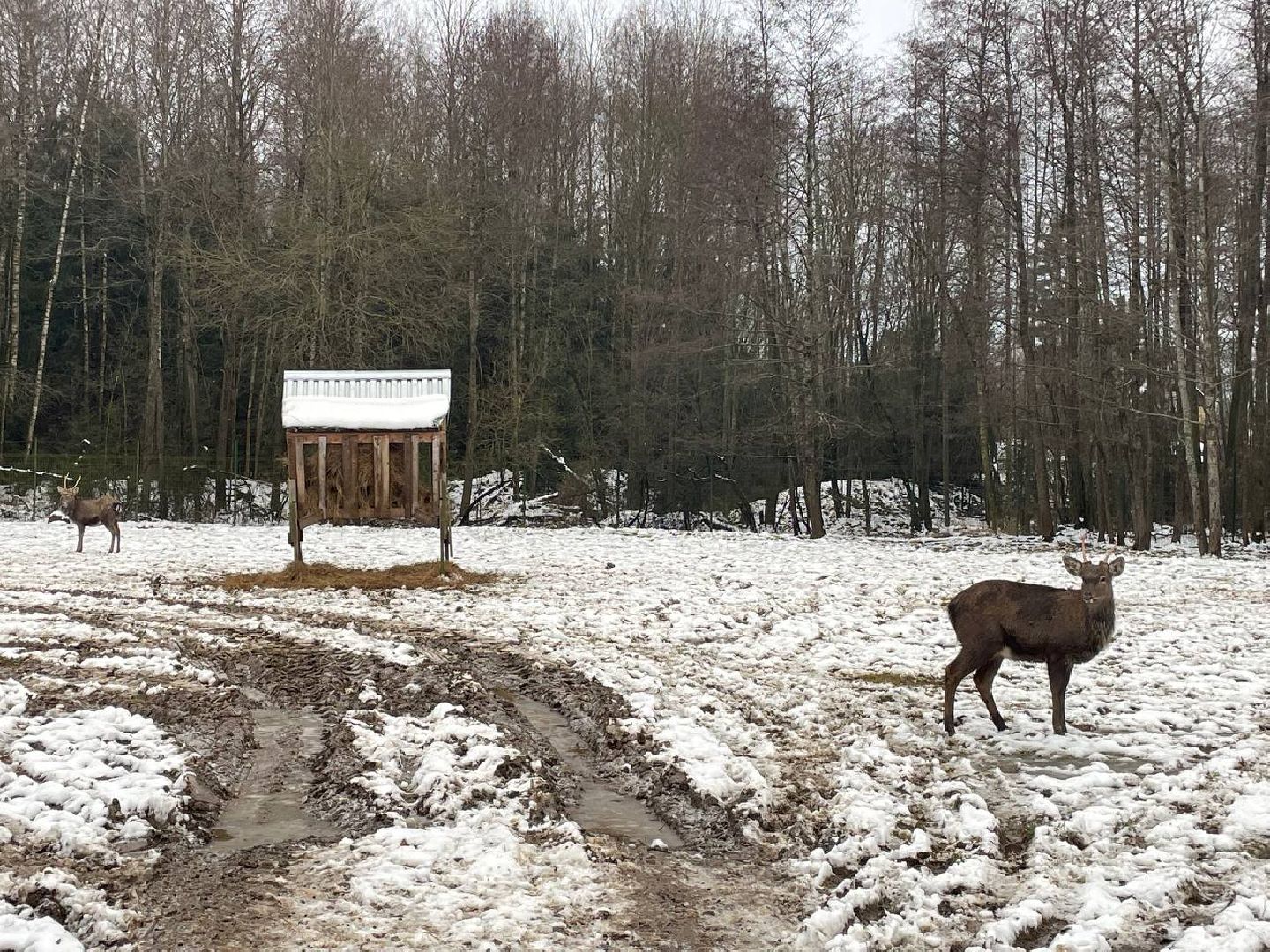 талдом, арт-усадьба веретьево, туризм, вертикалки,