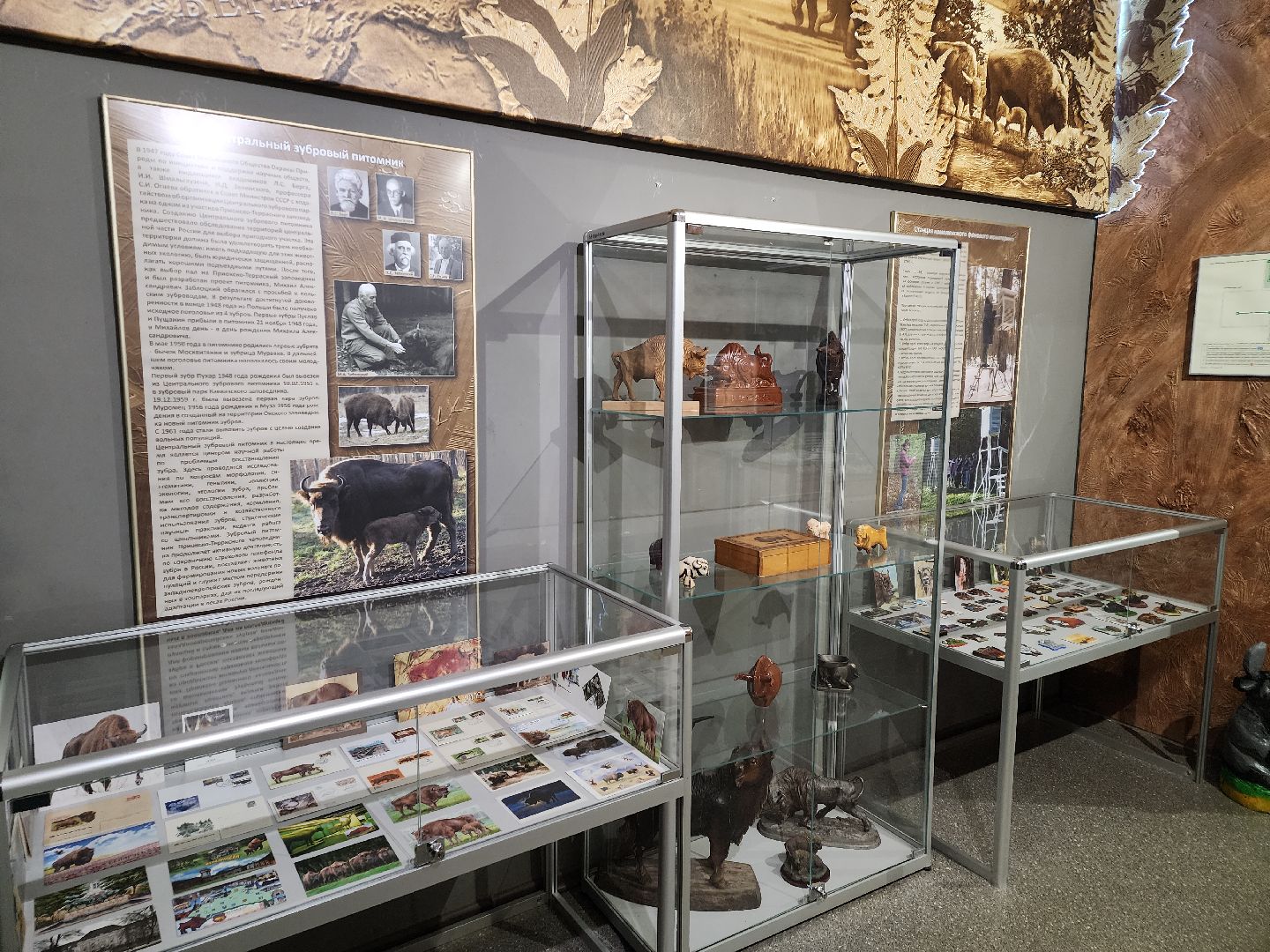 серпухов, подмосковье, музей природы, зубры, бизоны, выставка, мумузей, книга рекордов россии,