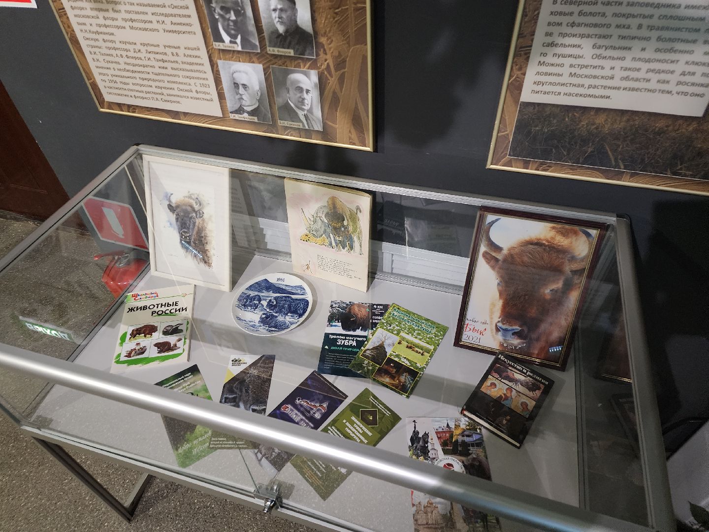 серпухов, подмосковье, музей природы, зубры, бизоны, выставка, мумузей, книга рекордов россии,