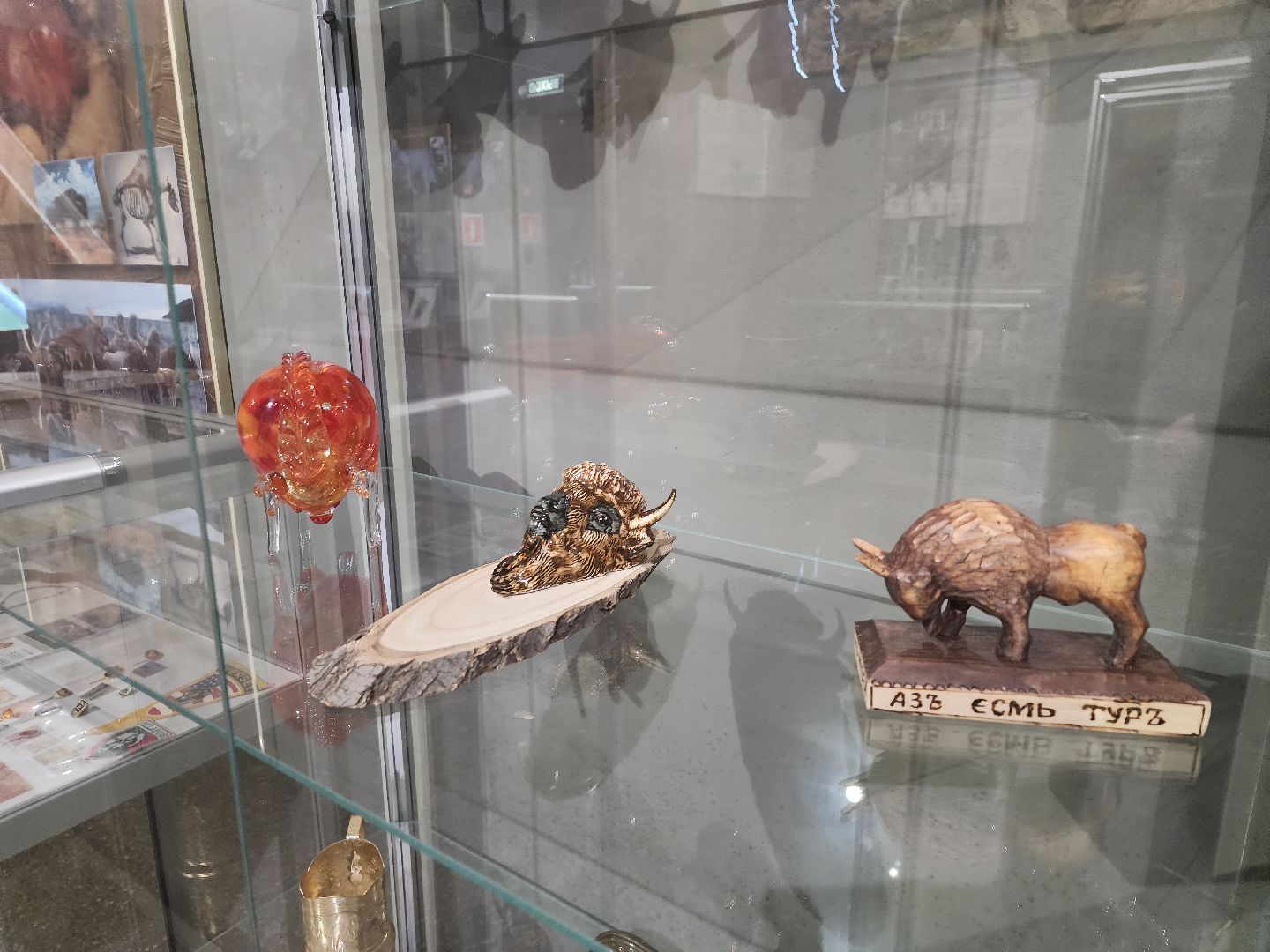 серпухов, подмосковье, музей природы, зубры, бизоны, выставка, мумузей, книга рекордов россии,