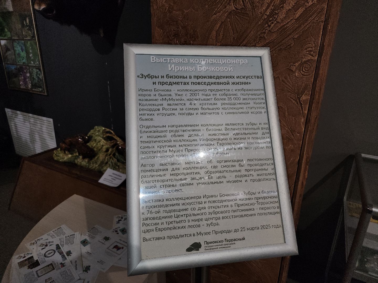 серпухов, подмосковье, музей природы, зубры, бизоны, выставка, мумузей, книга рекордов россии,