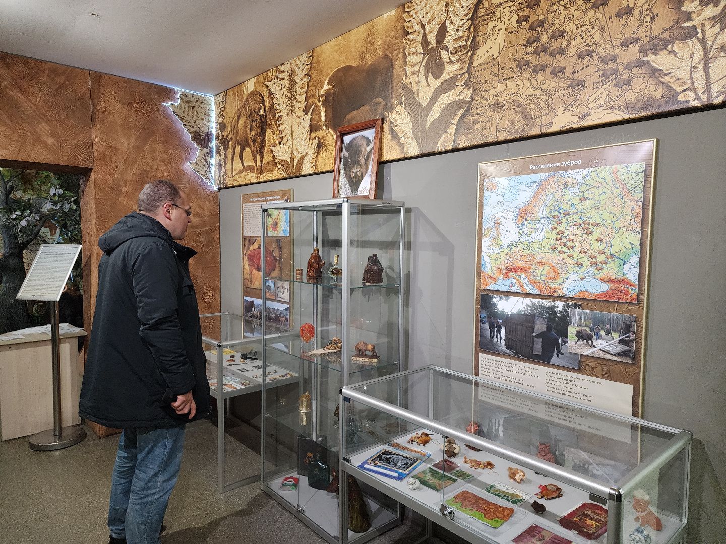 серпухов, подмосковье, музей природы, зубры, бизоны, выставка, мумузей, книга рекордов россии,