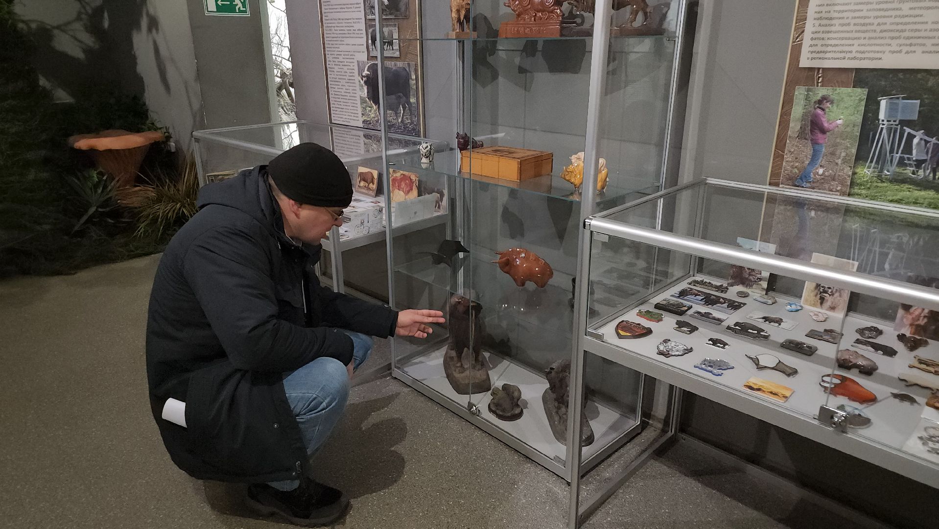 серпухов, подмосковье, музей природы, зубры, бизоны, выставка, мумузей, книга рекордов россии,