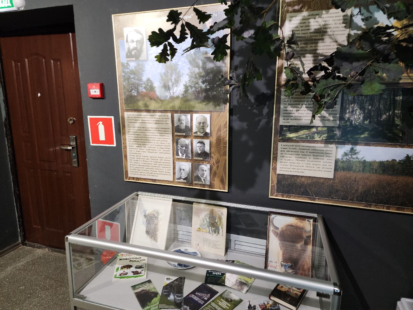 серпухов, подмосковье, музей природы, зубры, бизоны, выставка, мумузей, книга рекордов россии,