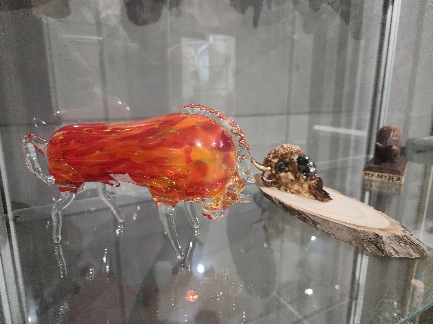 серпухов, подмосковье, музей природы, зубры, бизоны, выставка, мумузей, книга рекордов россии,