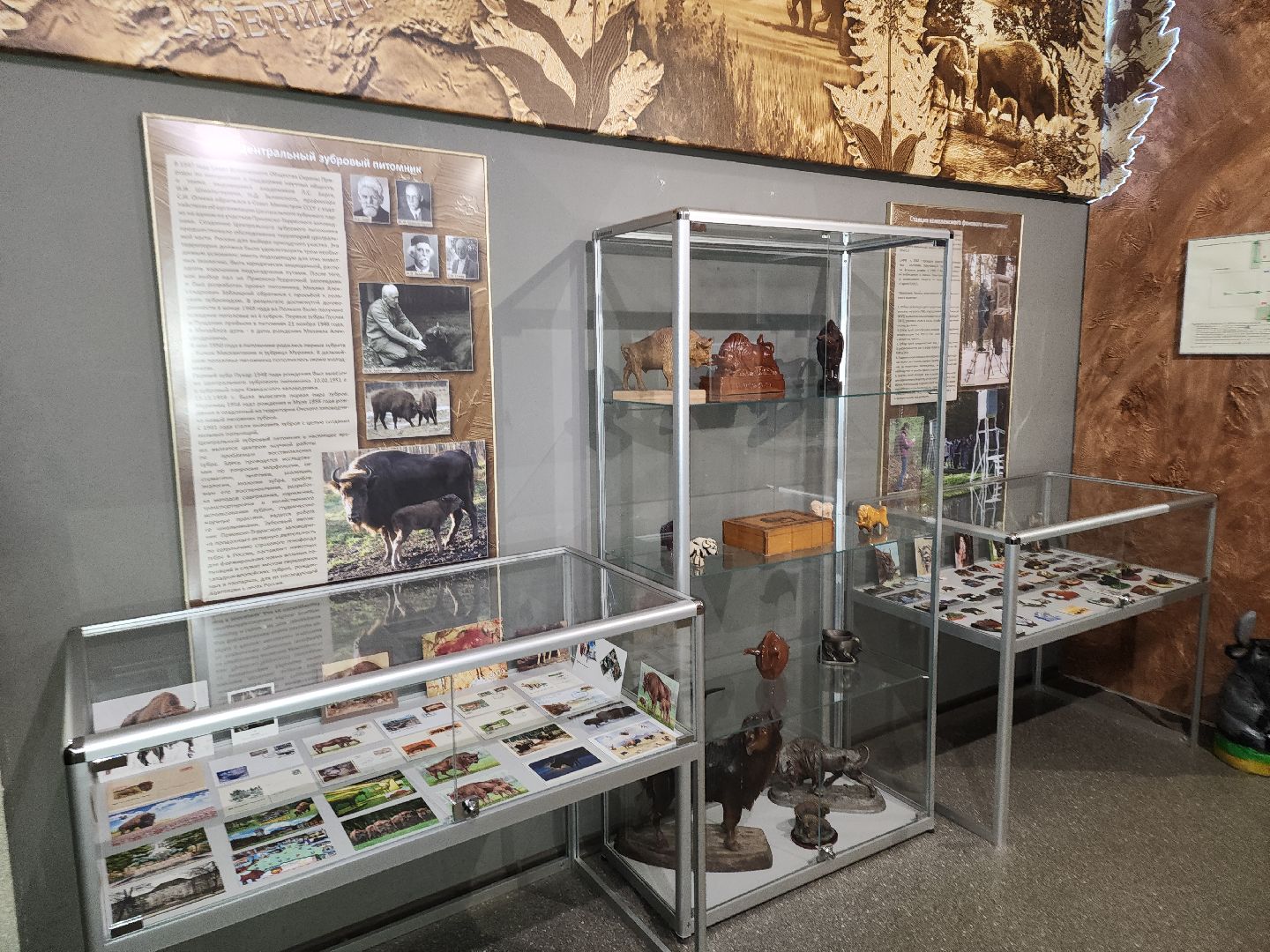 серпухов, подмосковье, музей природы, зубры, бизоны, выставка, мумузей, книга рекордов россии,