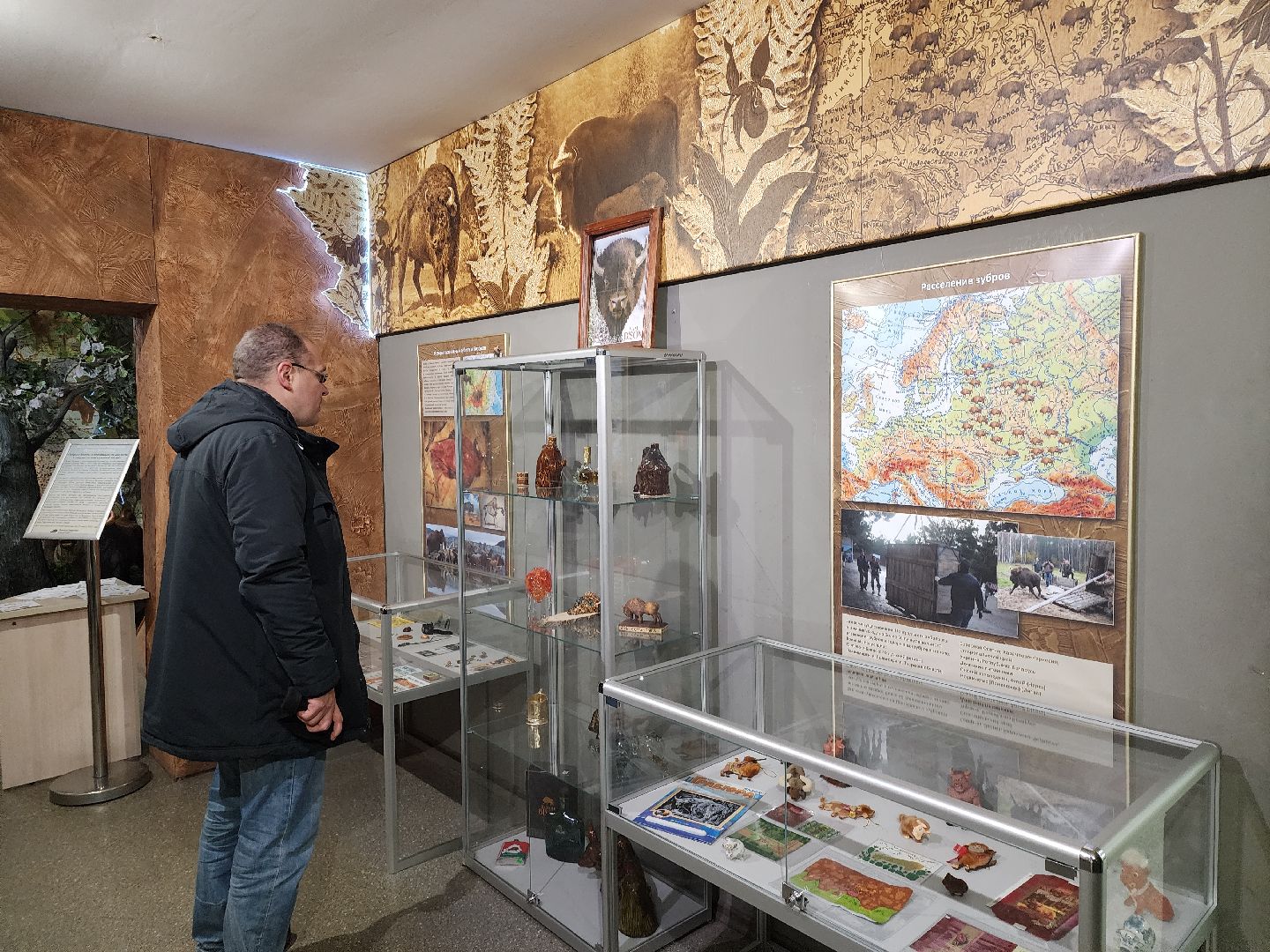 серпухов, подмосковье, музей природы, зубры, бизоны, выставка, мумузей, книга рекордов россии,