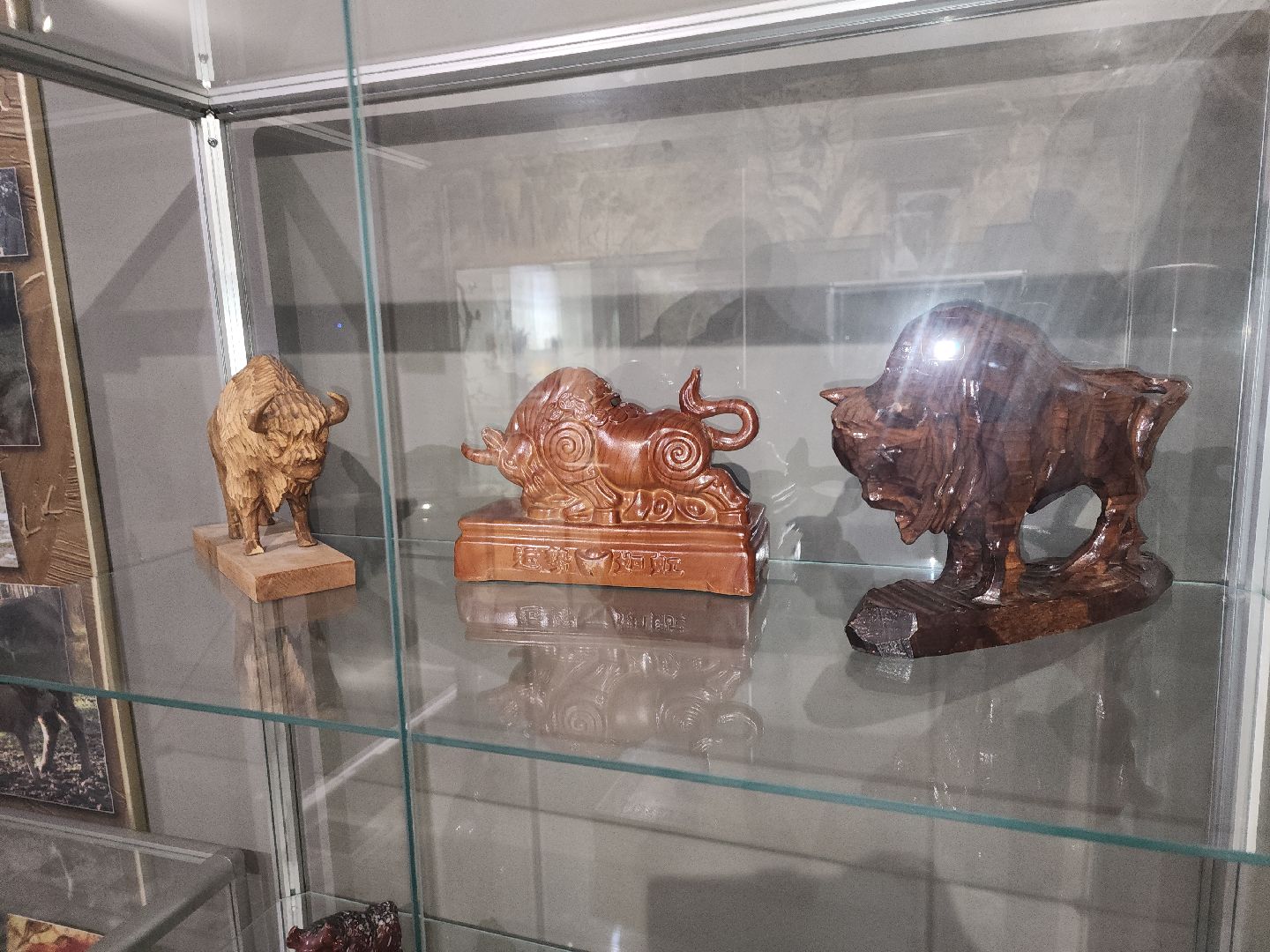 серпухов, подмосковье, музей природы, зубры, бизоны, выставка, мумузей, книга рекордов россии,