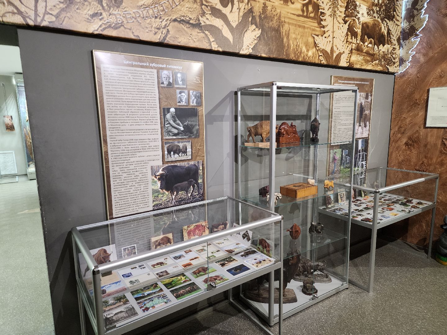 серпухов, подмосковье, музей природы, зубры, бизоны, выставка, мумузей, книга рекордов россии,