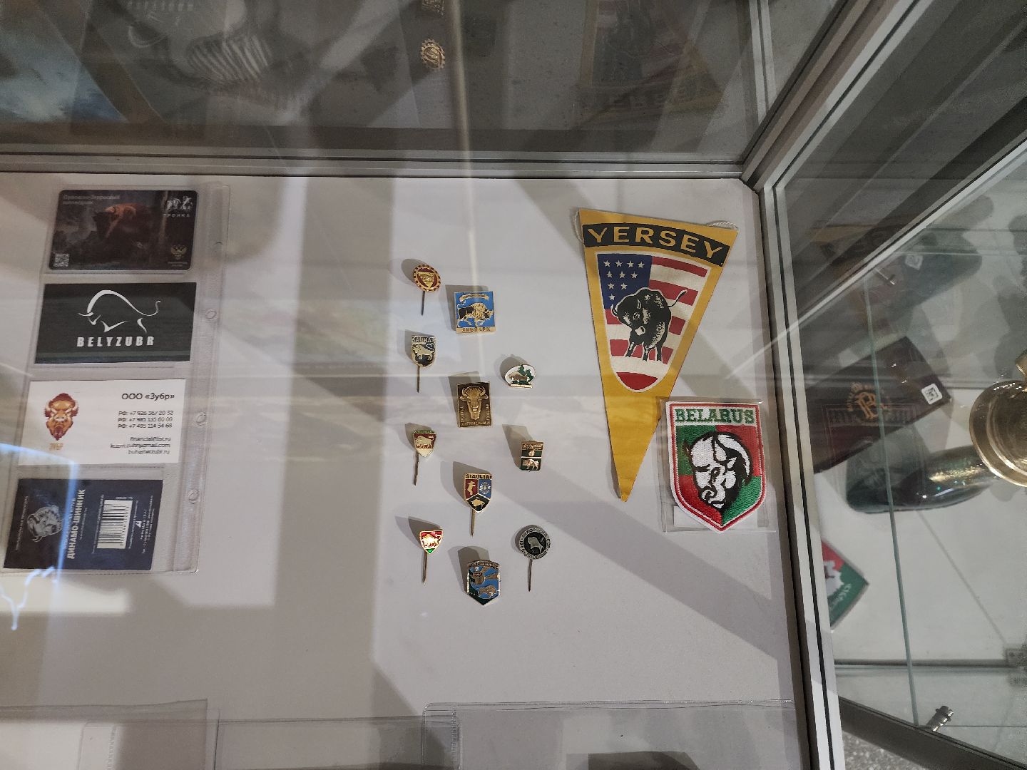 серпухов, подмосковье, музей природы, зубры, бизоны, выставка, мумузей, книга рекордов россии,