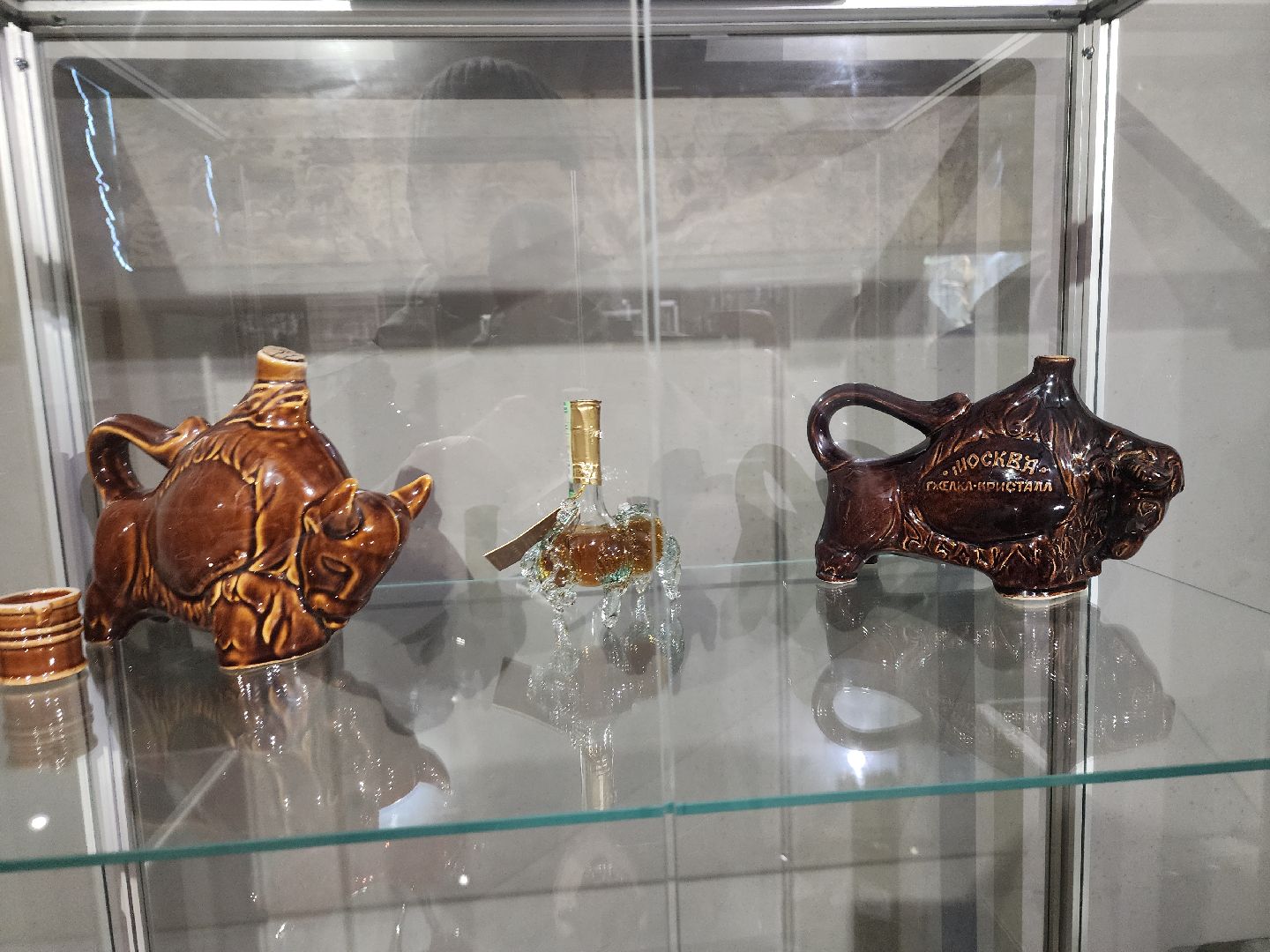 серпухов, подмосковье, музей природы, зубры, бизоны, выставка, мумузей, книга рекордов россии,