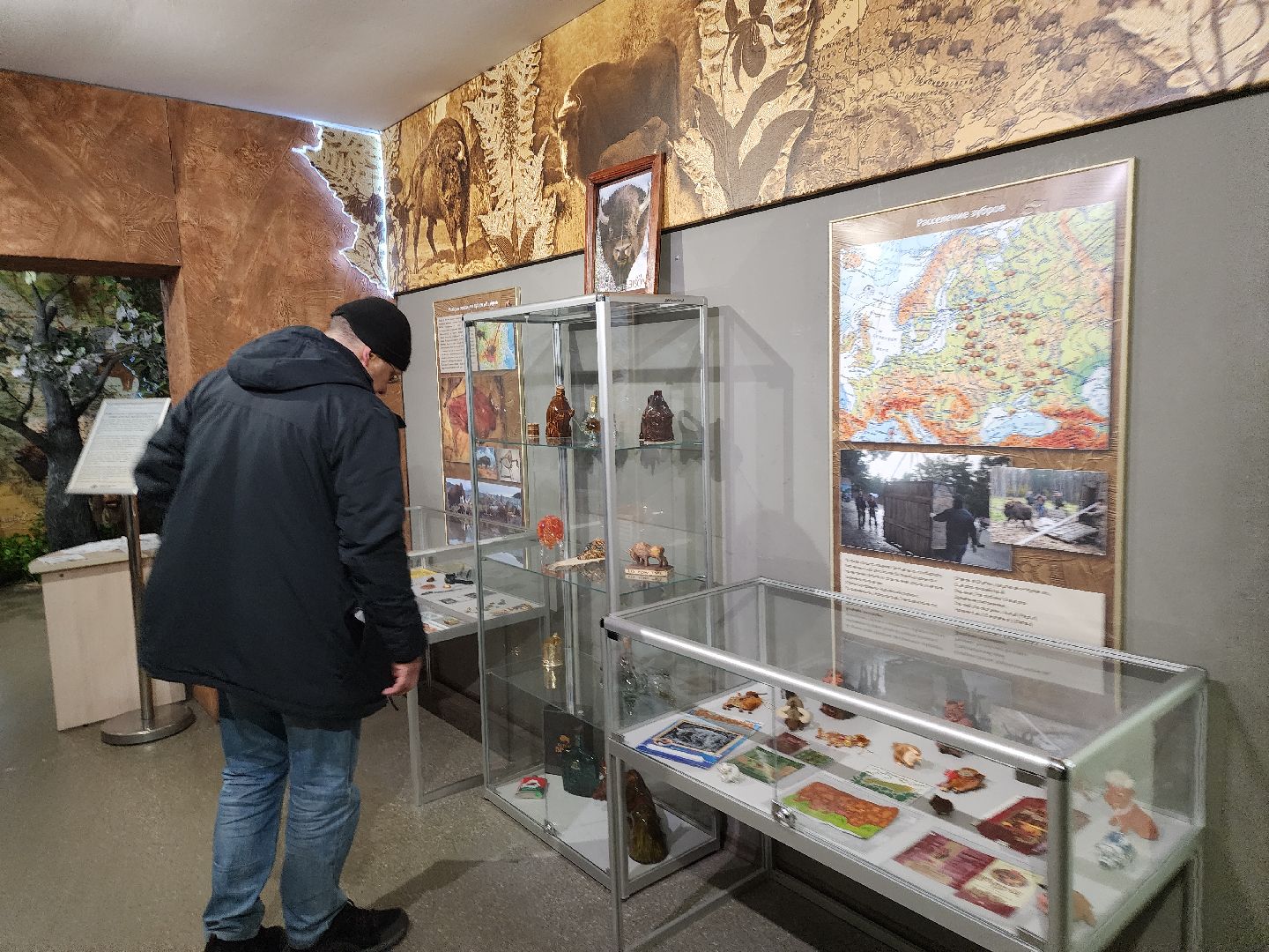 серпухов, подмосковье, музей природы, зубры, бизоны, выставка, мумузей, книга рекордов россии,