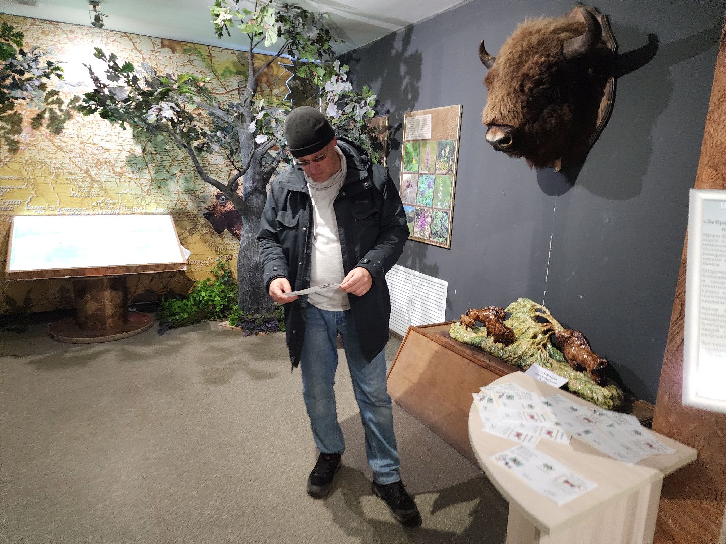 серпухов, подмосковье, музей природы, зубры, бизоны, выставка, мумузей, книга рекордов россии,