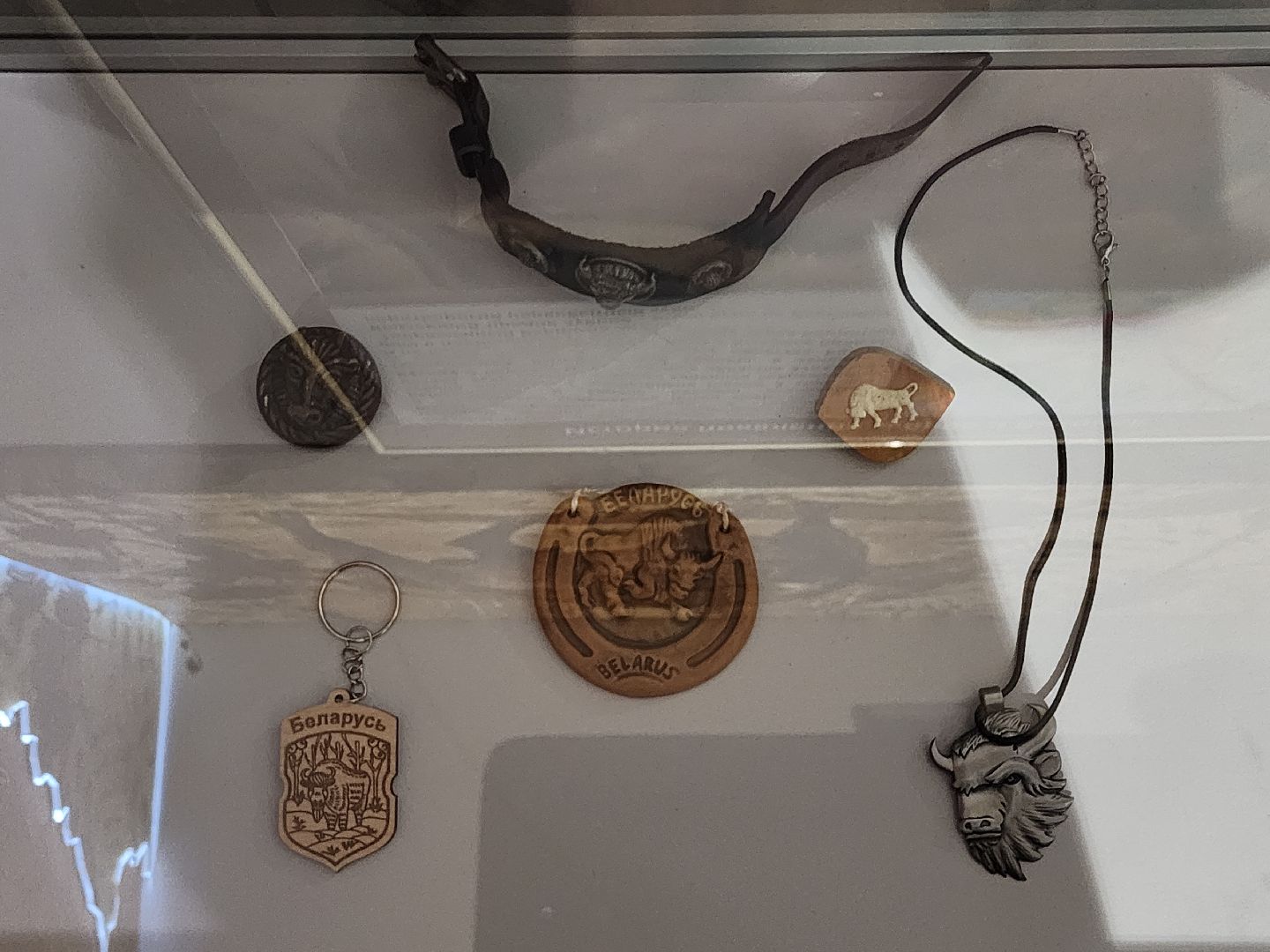 серпухов, подмосковье, музей природы, зубры, бизоны, выставка, мумузей, книга рекордов россии,