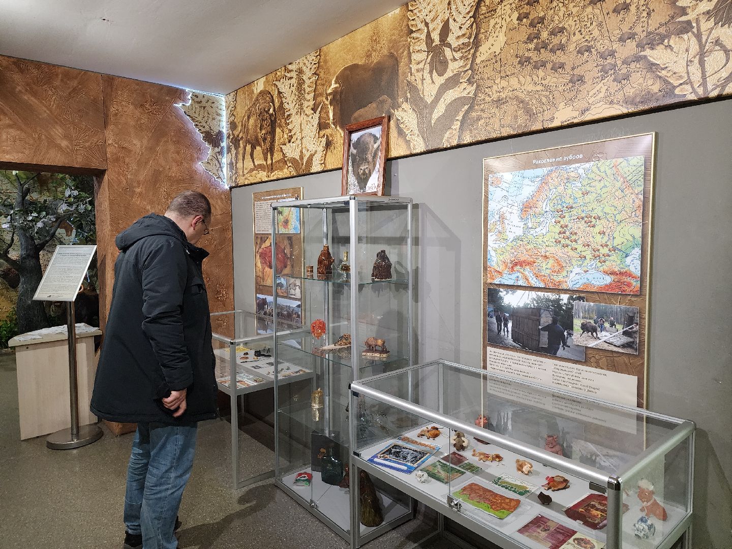 серпухов, подмосковье, музей природы, зубры, бизоны, выставка, мумузей, книга рекордов россии,