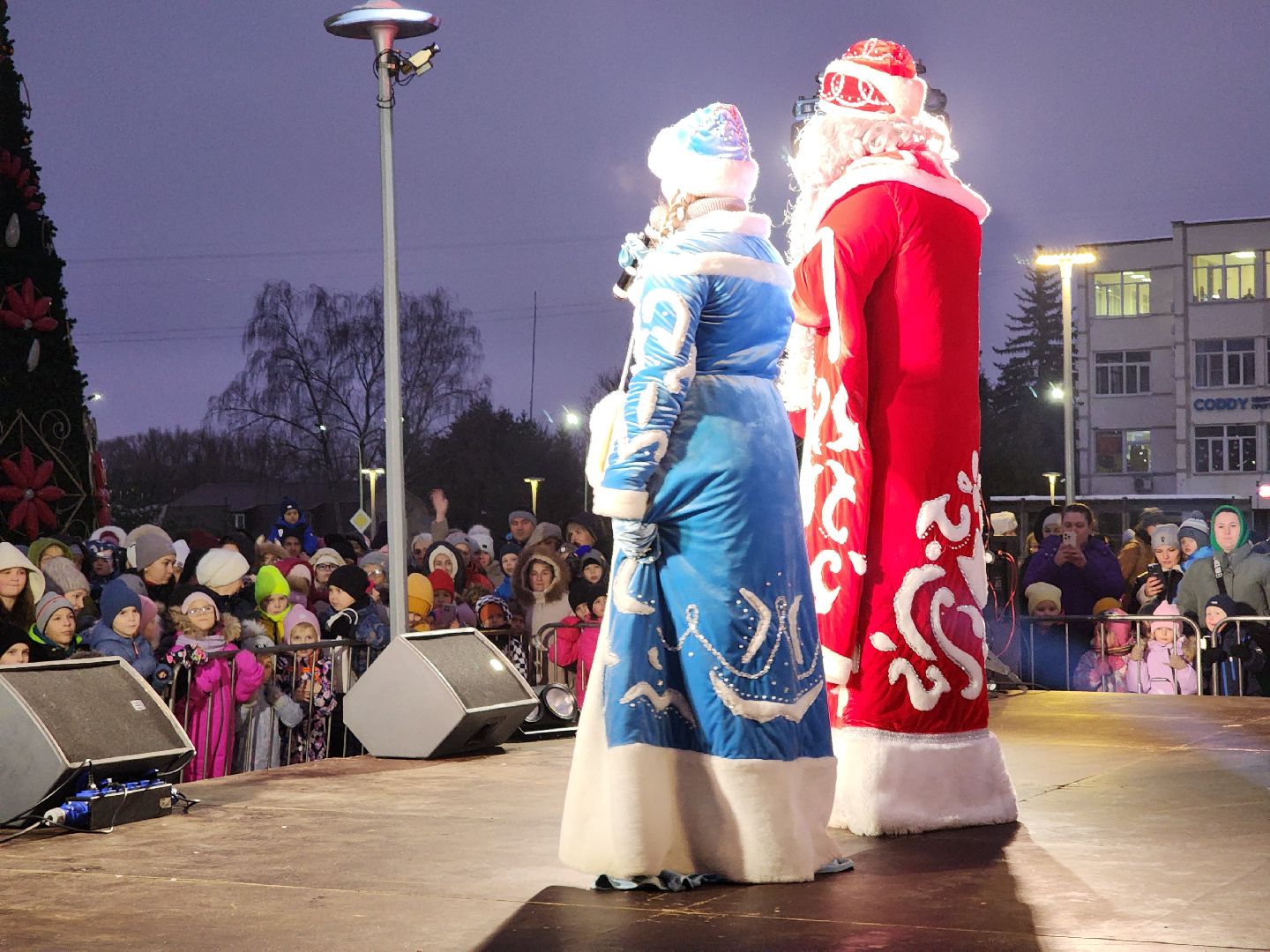 новогодняя елка, зажжение огней на елке, руза, новый год, зима в подмосковье, зима в рузе, рузский городской округ, вертикалки,