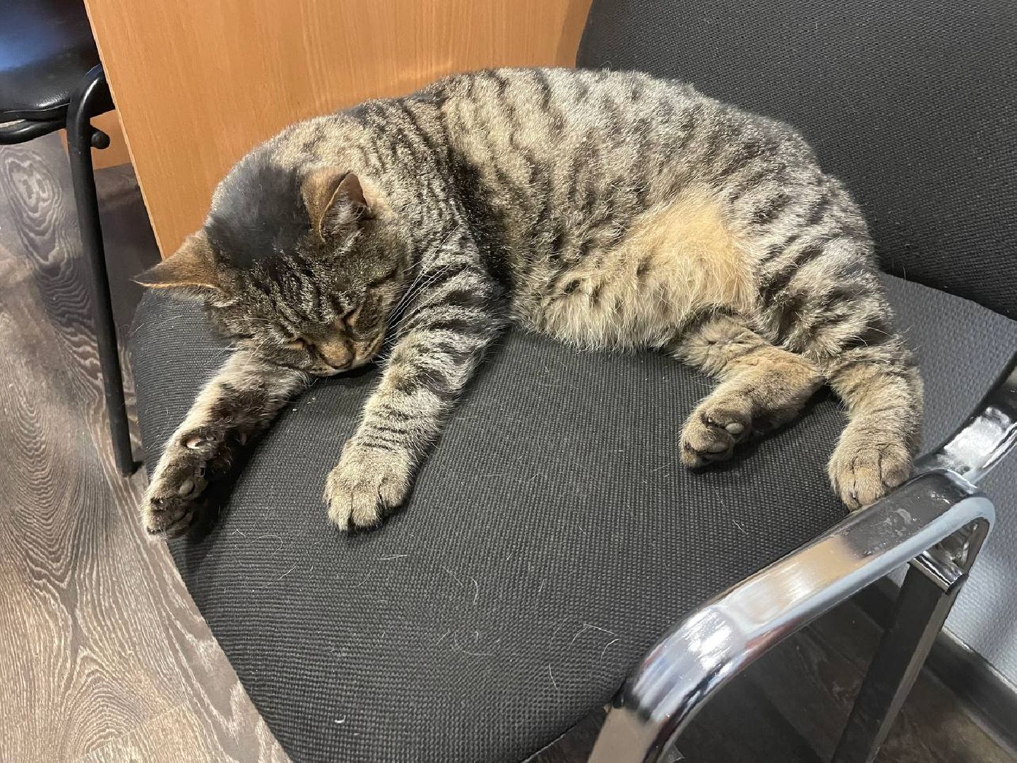 дмитров, ук зета групп, минжкх, вертикалки,