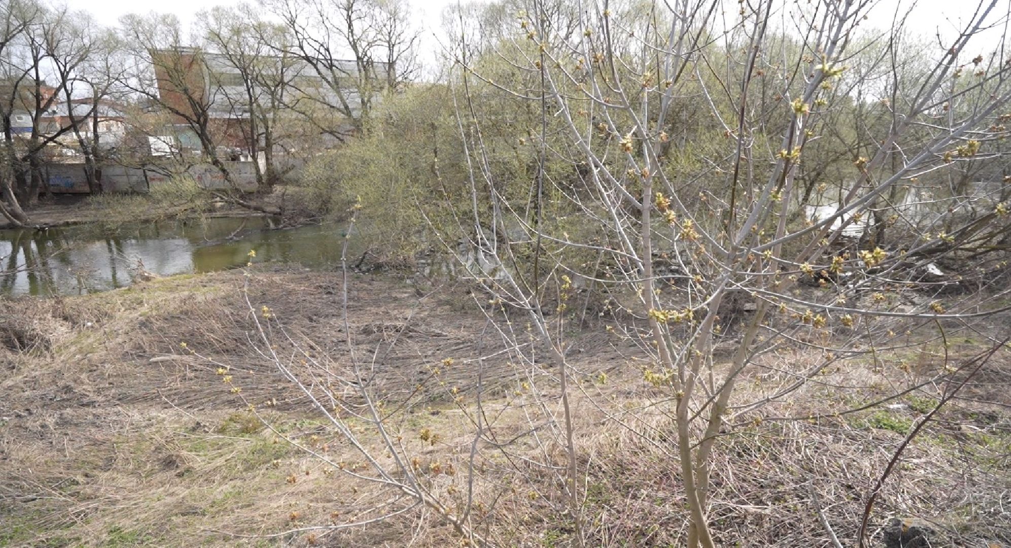 ДОТ, Домодедовские поисковики, общество «Белый Камень»