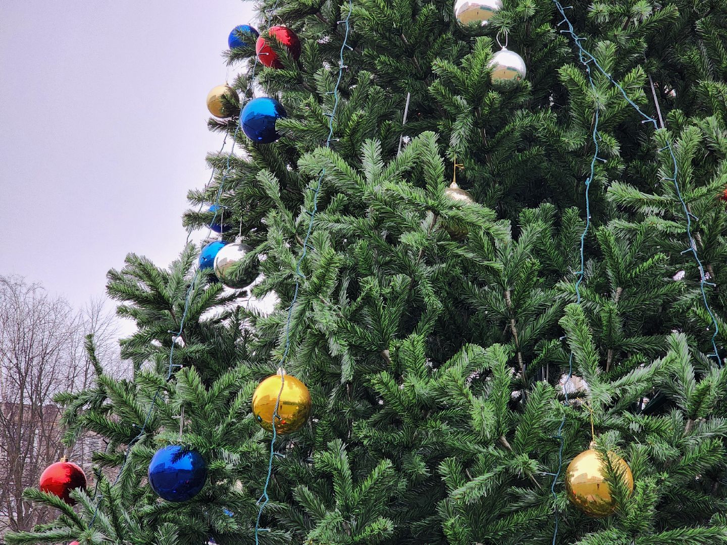 воскресенск, новый год, ёлка, зима в подмосковье, вертикалки,