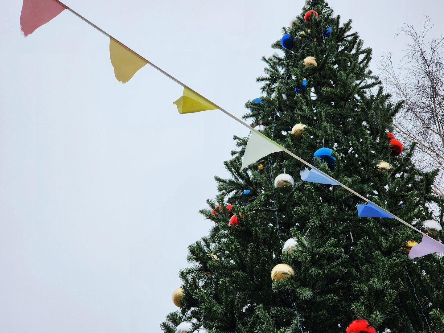 воскресенск, новый год, ёлка, зима в подмосковье, вертикалки,