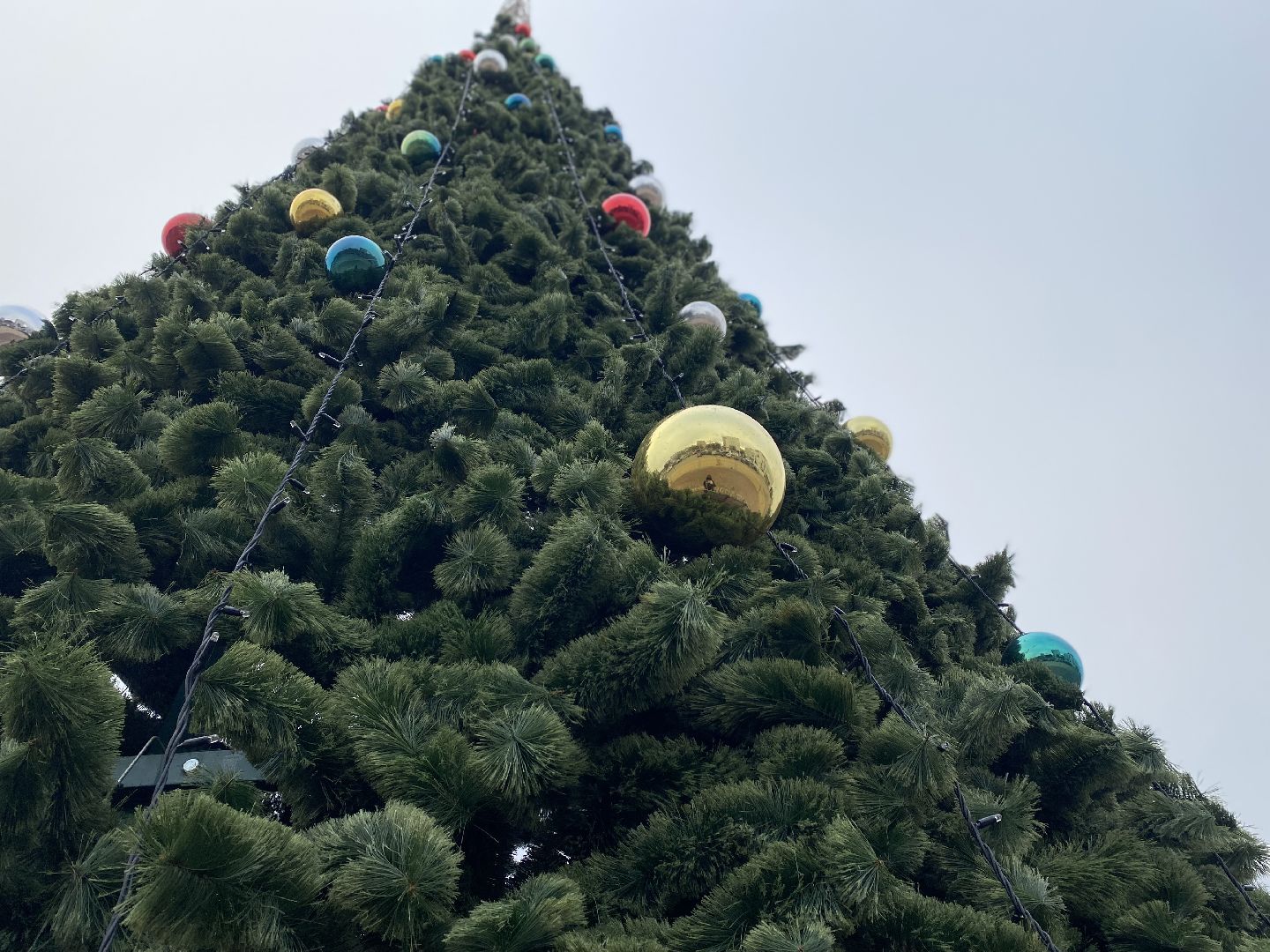 подольск, ёлка, новый год, вертикалка,