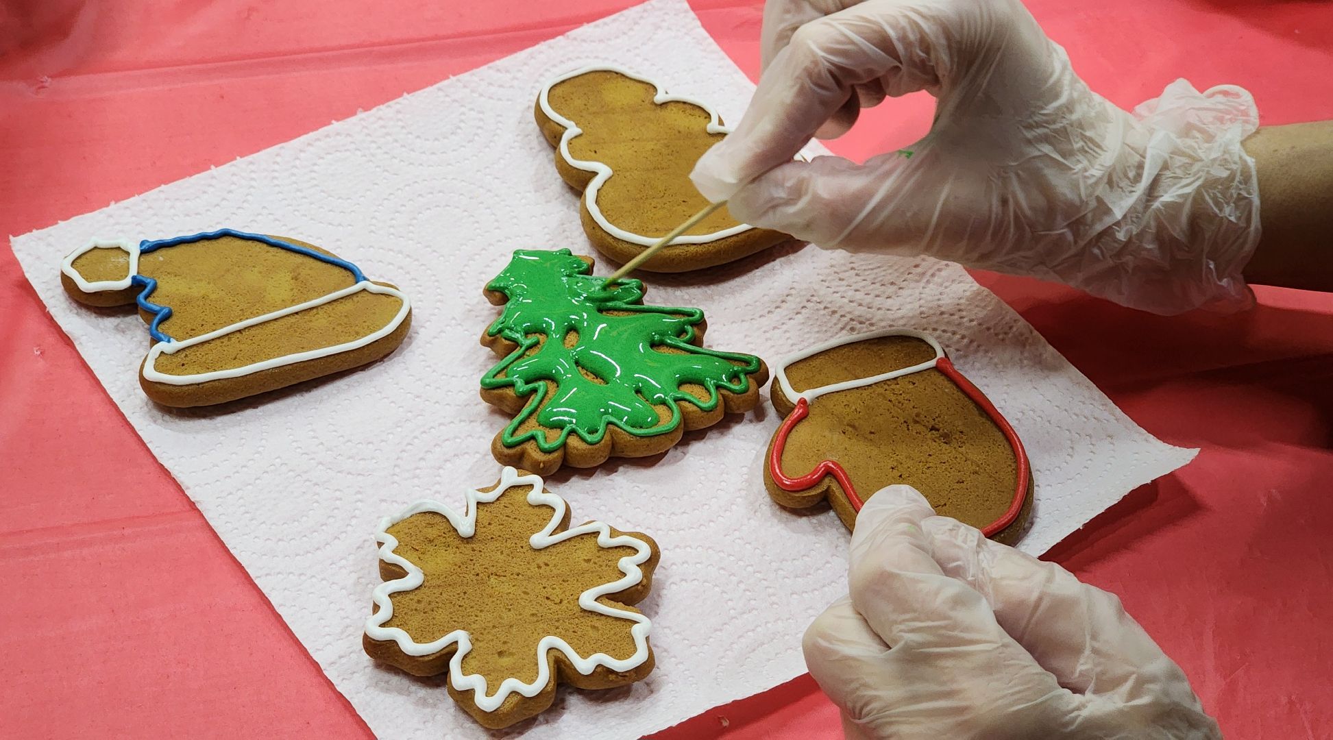 Солнечногорск, вертикалки, молодежный центр подсолнух, благотворительность, волонтеры,