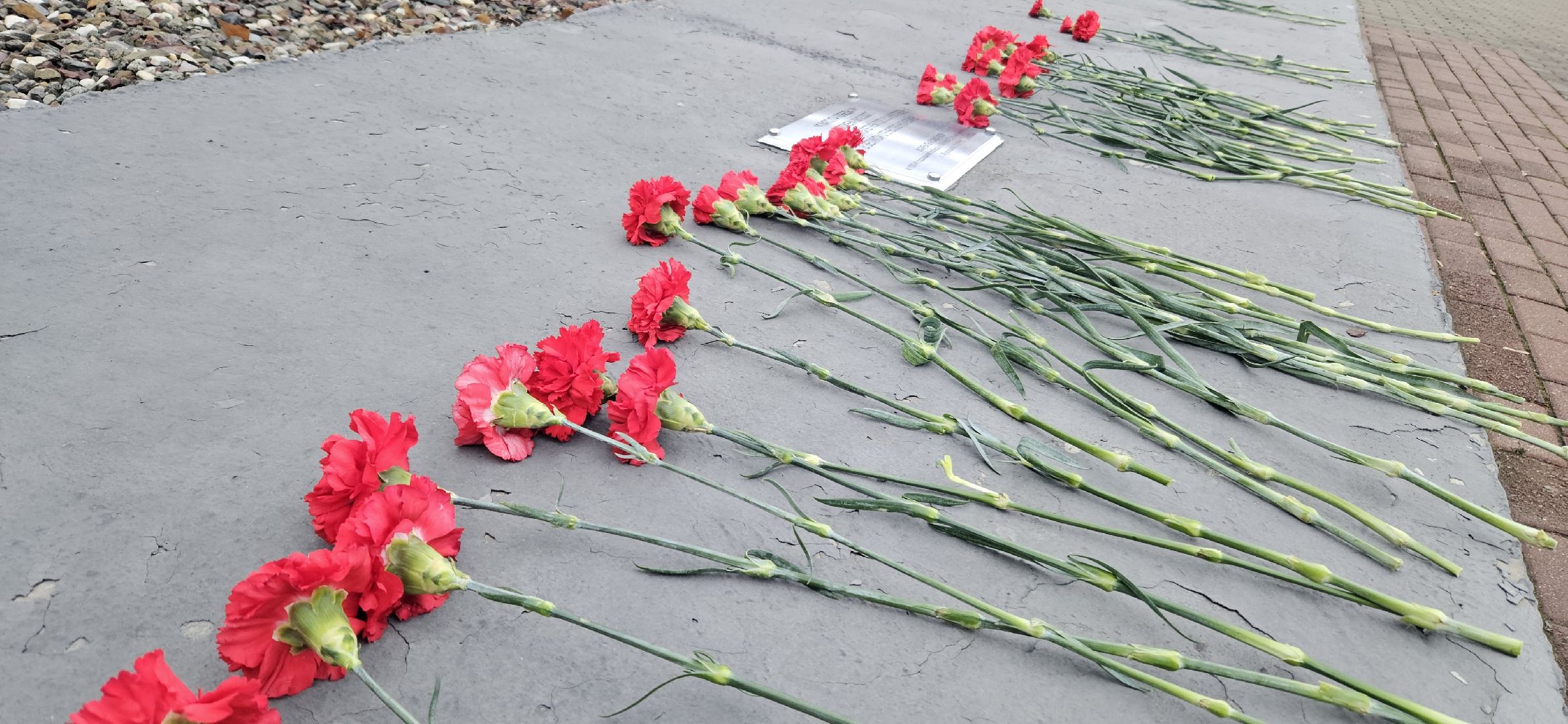 Волонтры Подмосковья, Жуковский, день неизвестного солдата,