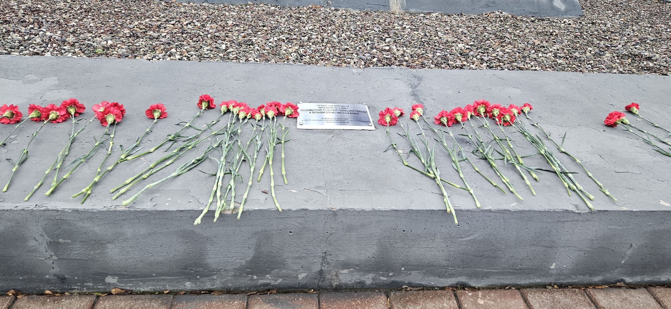 Волонтры Подмосковья, Жуковский, день неизвестного солдата,