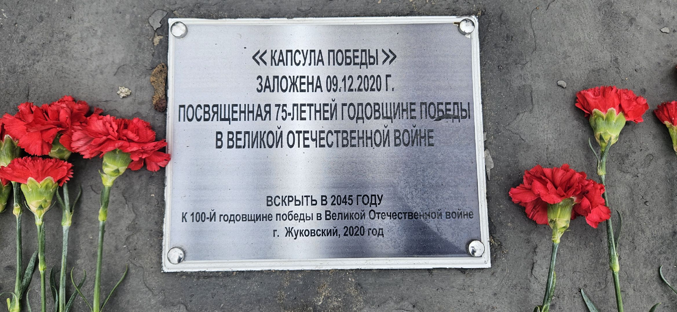 Волонтры Подмосковья, Жуковский, день неизвестного солдата,