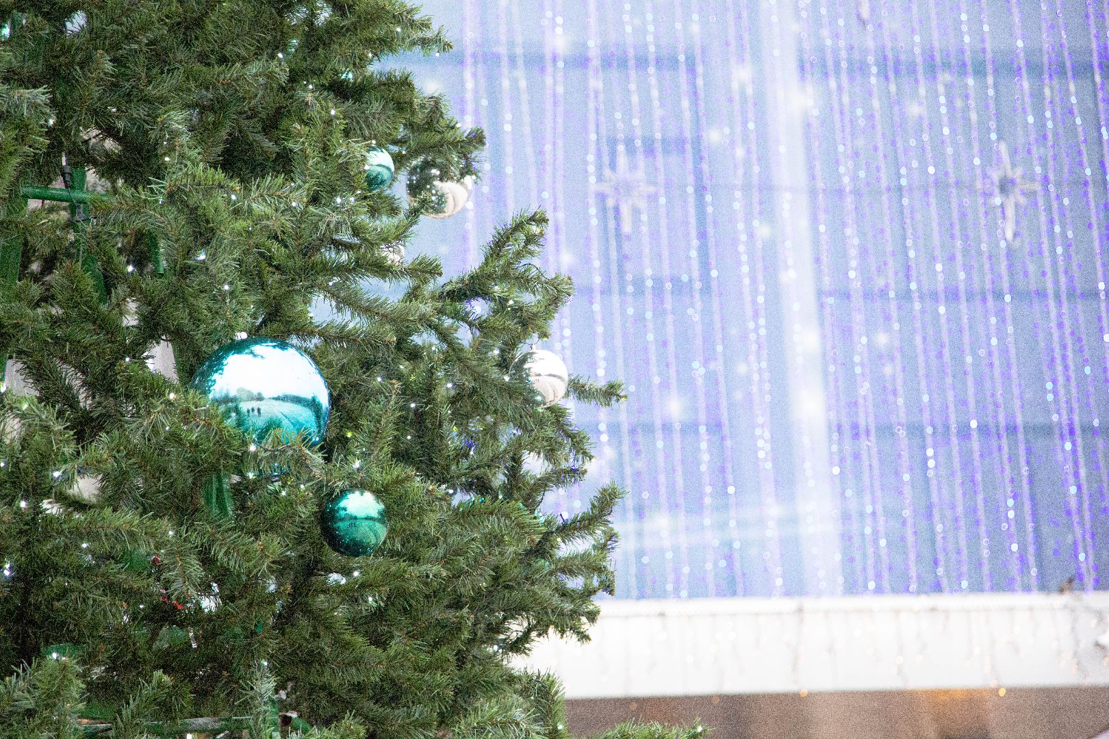 елка, площадь, зимний сезон, сказочные герои, дед мороз, вертикалки,