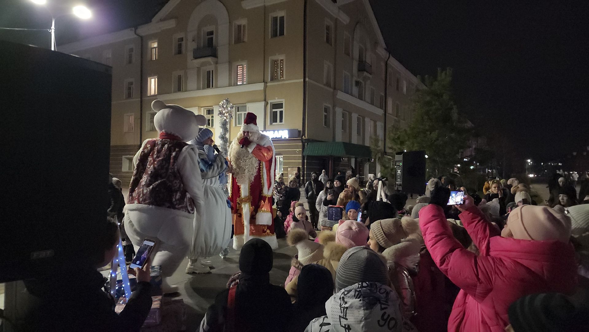 Зима в Подмосковье, зимний сезон, праздник, новогодняя елка, Лосино-Петровский, вертикалки,
