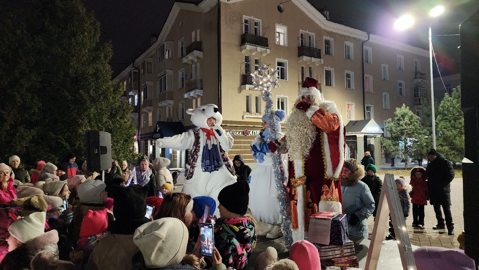 Зима в Подмосковье, зимний сезон, праздник, новогодняя елка, Лосино-Петровский, вертикалки,