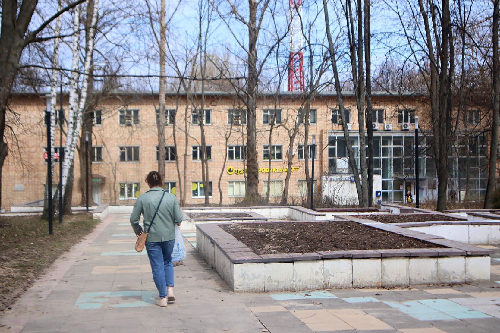 Пущино, голосование, благоустройство