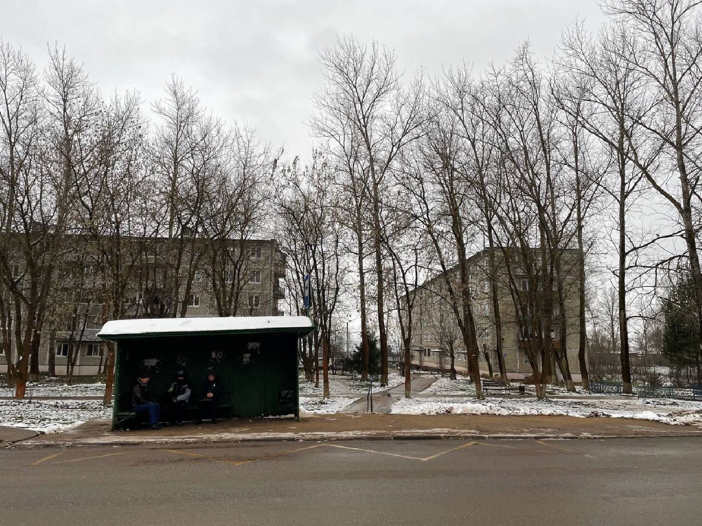 дмитров, куликово, проект пешком, минблаго, вертикалки,