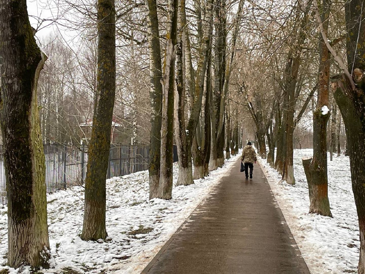 дмитров, куликово, проект пешком, минблаго, вертикалки,