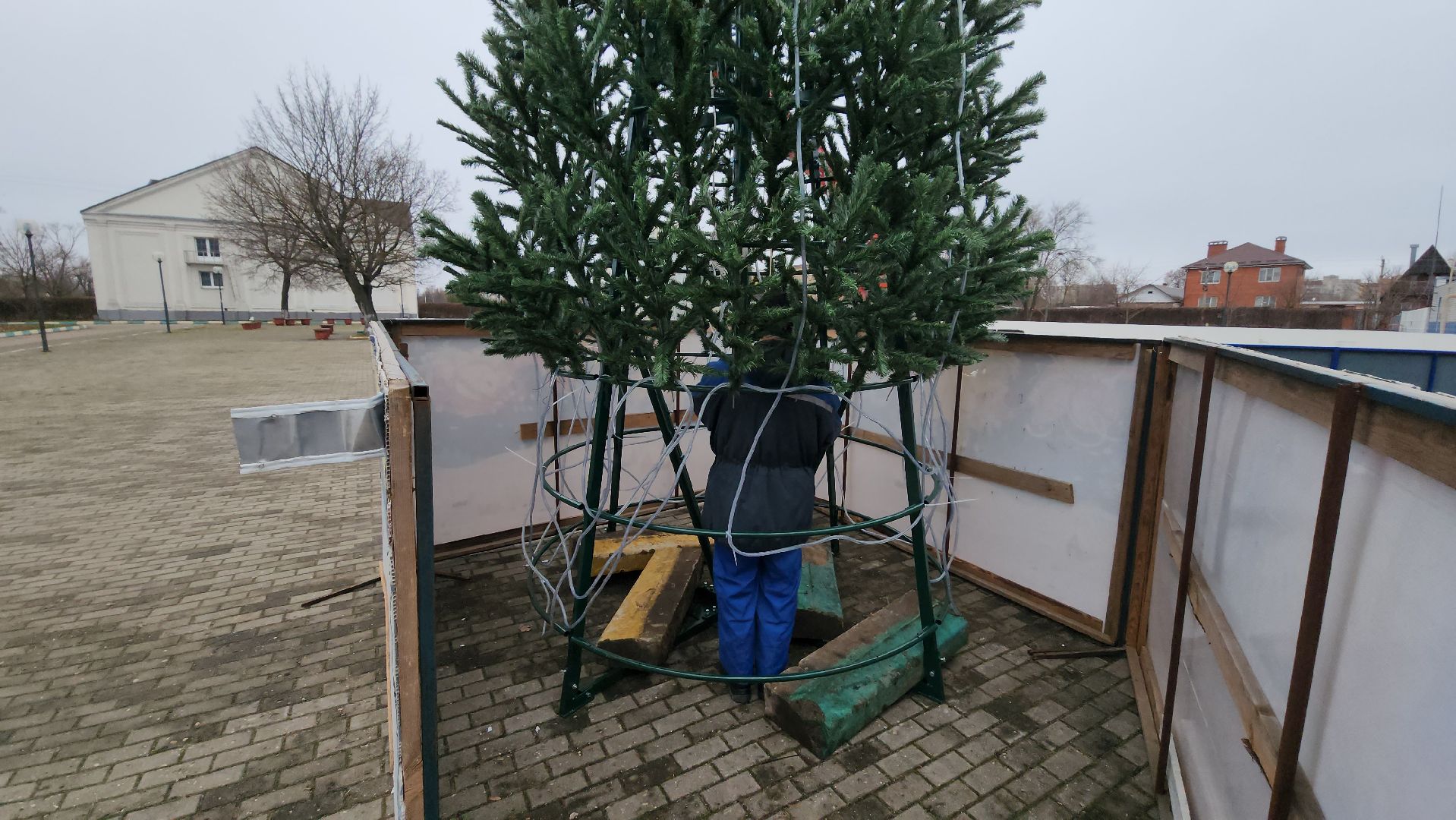 серпухов, зима в подмомсковье, ёлка, поселок большевик, дс надежда, вертикалки,