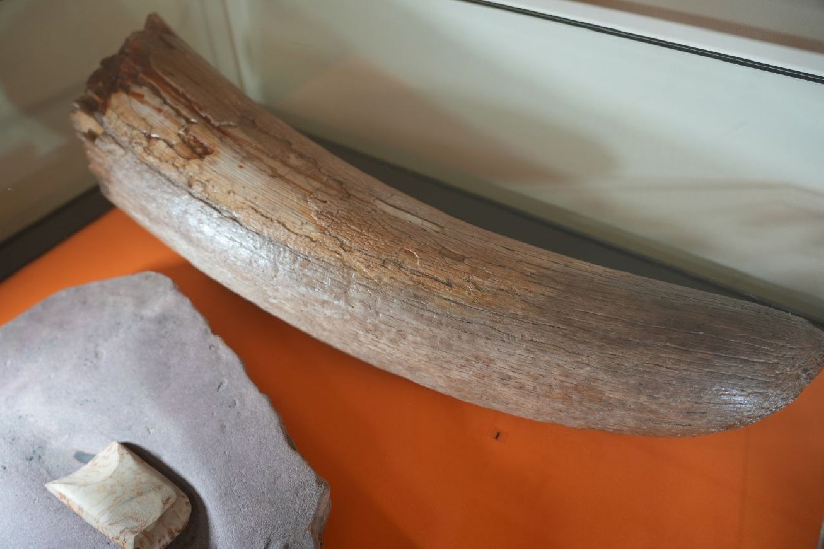 Музеи, Археология, Сергиево-Посадский музей-заповедник, Сергиев Посад, Сергиево-Посадский музей-заповедник,