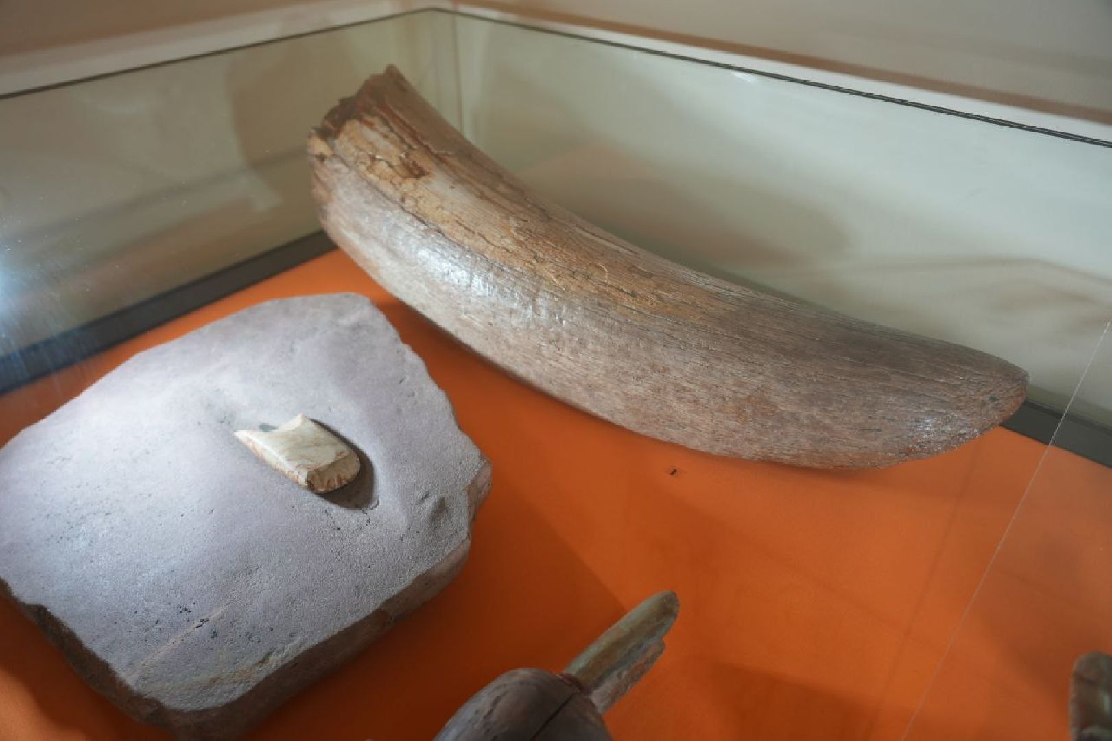 Музеи, Археология, Сергиево-Посадский музей-заповедник, Сергиев Посад, Сергиево-Посадский музей-заповедник,