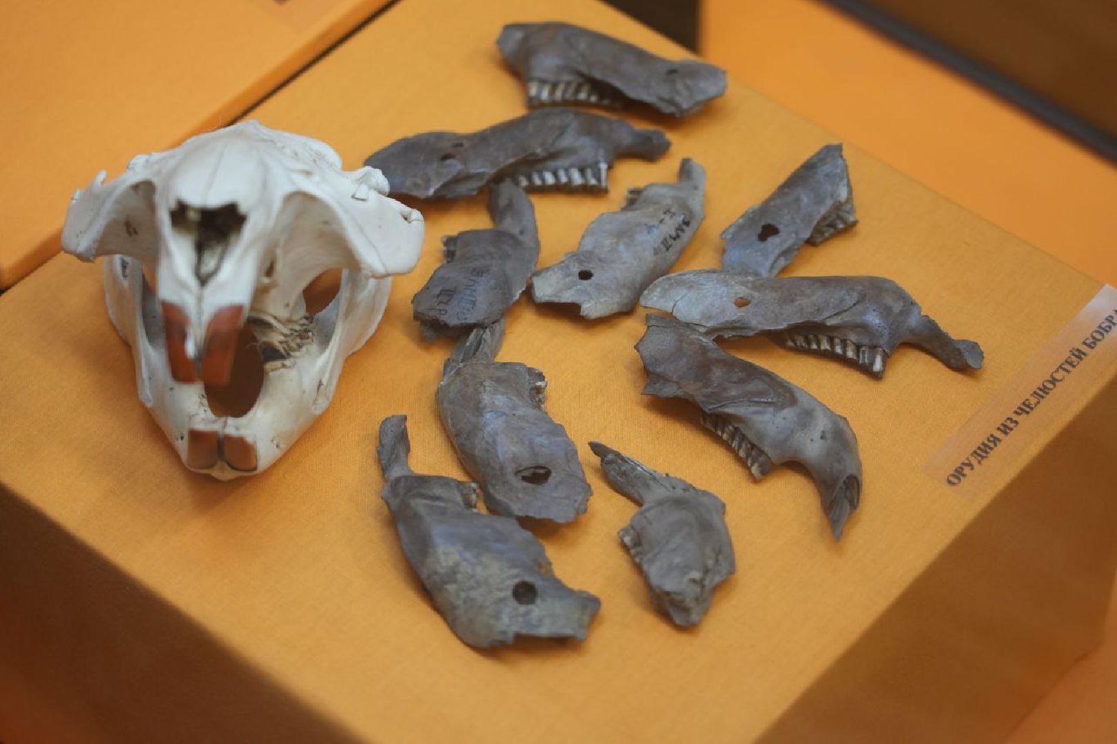 Музеи, Археология, Сергиево-Посадский музей-заповедник, Сергиев Посад, Сергиево-Посадский музей-заповедник,