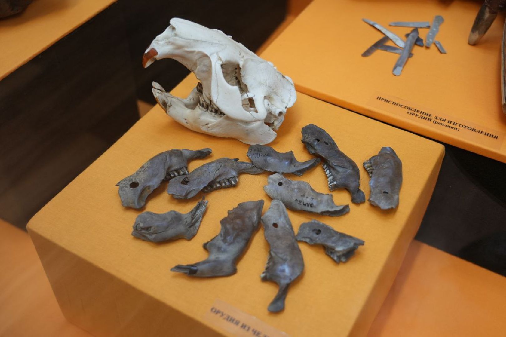 Музеи, Археология, Сергиево-Посадский музей-заповедник, Сергиев Посад, Сергиево-Посадский музей-заповедник,