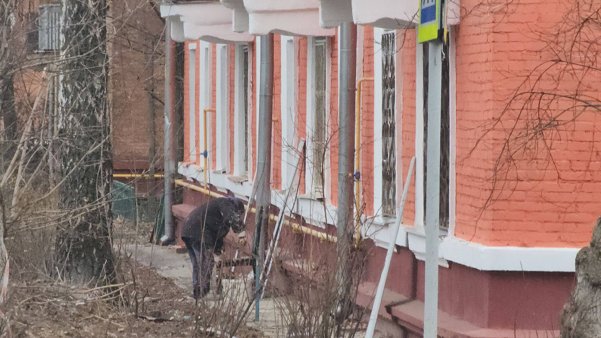 долгопрудный, Пирожок, Улица Циолковского, пятерочка, вертикалки,