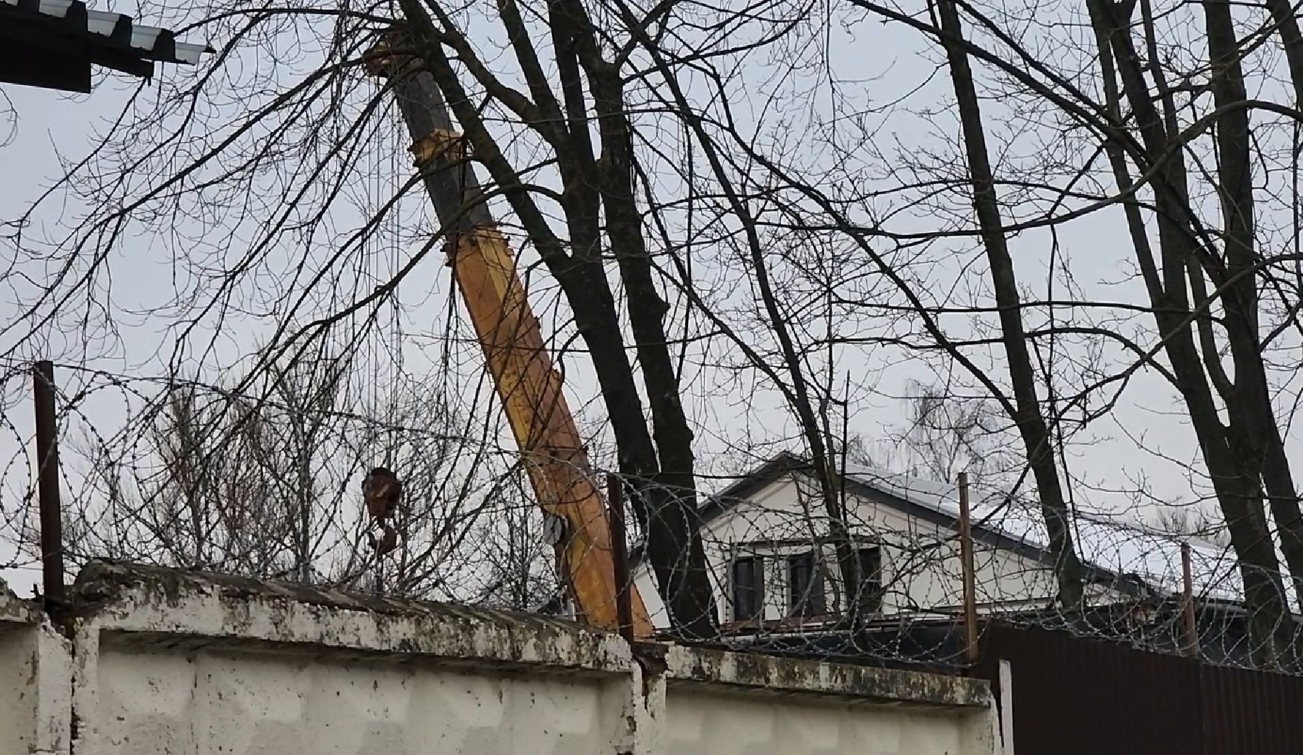 долгопрудный, Пирожок, Улица Циолковского, пятерочка, вертикалки,